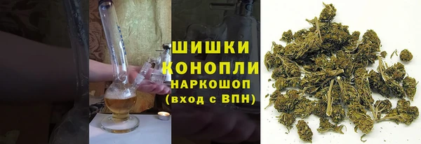 2c-b Бородино