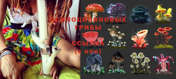 2c-b Бородино