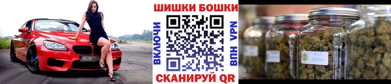 Шишки марихуана сатива  Красногорск 